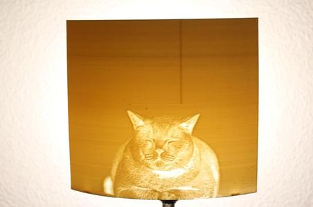 Lampenschirm - lamp shade