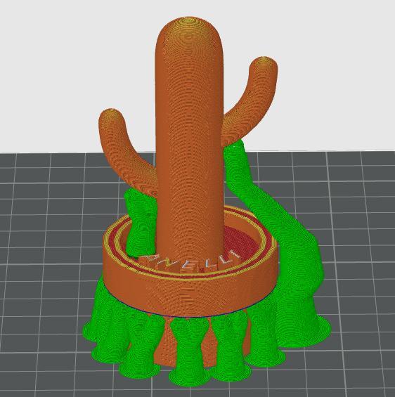 CACTUS PORTA ANELLI