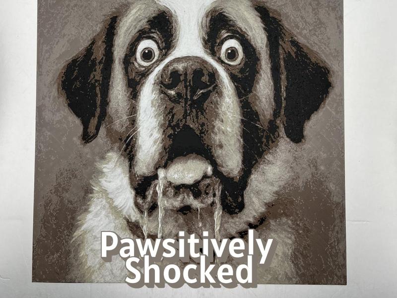 Pawsitively Shocked Dog Hueforge