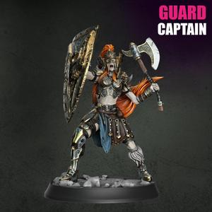Battle of the Abandoned Village - Guard Captain