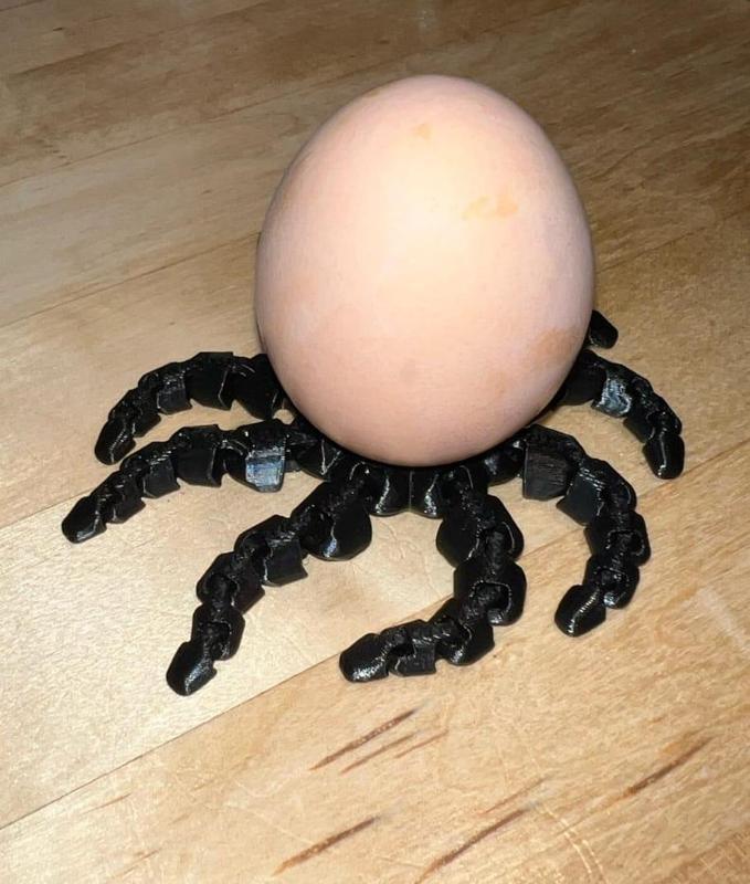 Eggtopus