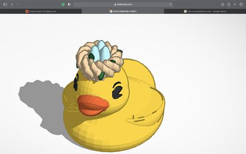 Duck