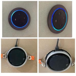 Alexa Dot mount Halter