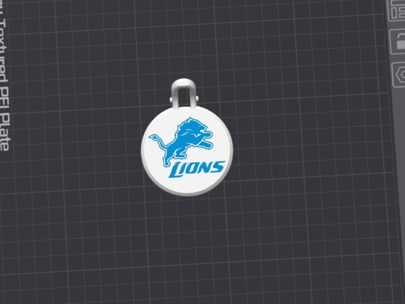 Can Cover Detroit Lions