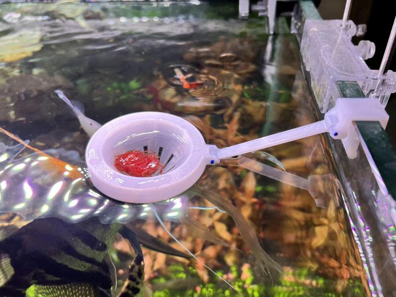 Bloodworm Fish Feeder