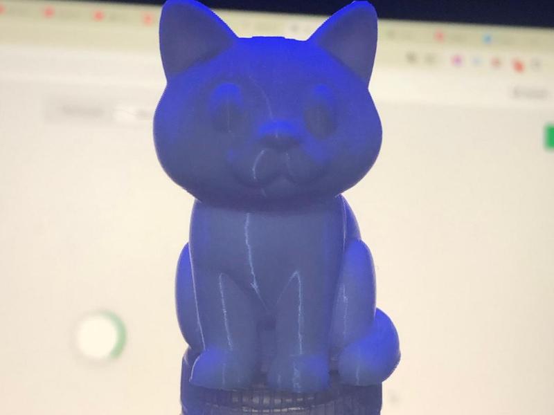 Miniature Bengal cat