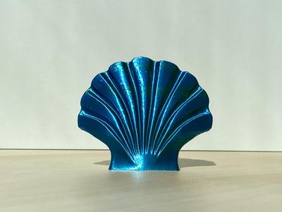 Seashell