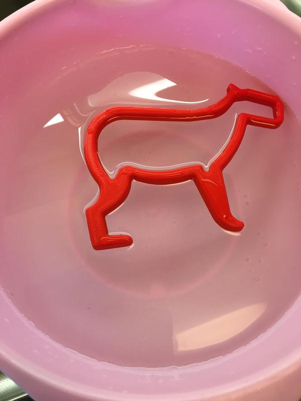 Capybara fish portal