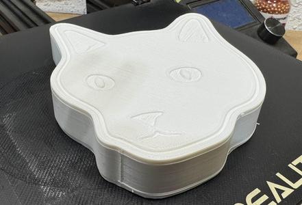 Cat Box