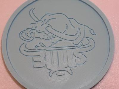 Bulls Coaster