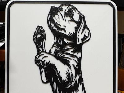 happy dog 903