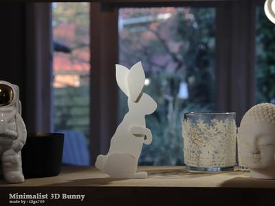 Minimalistic 3D Bunny