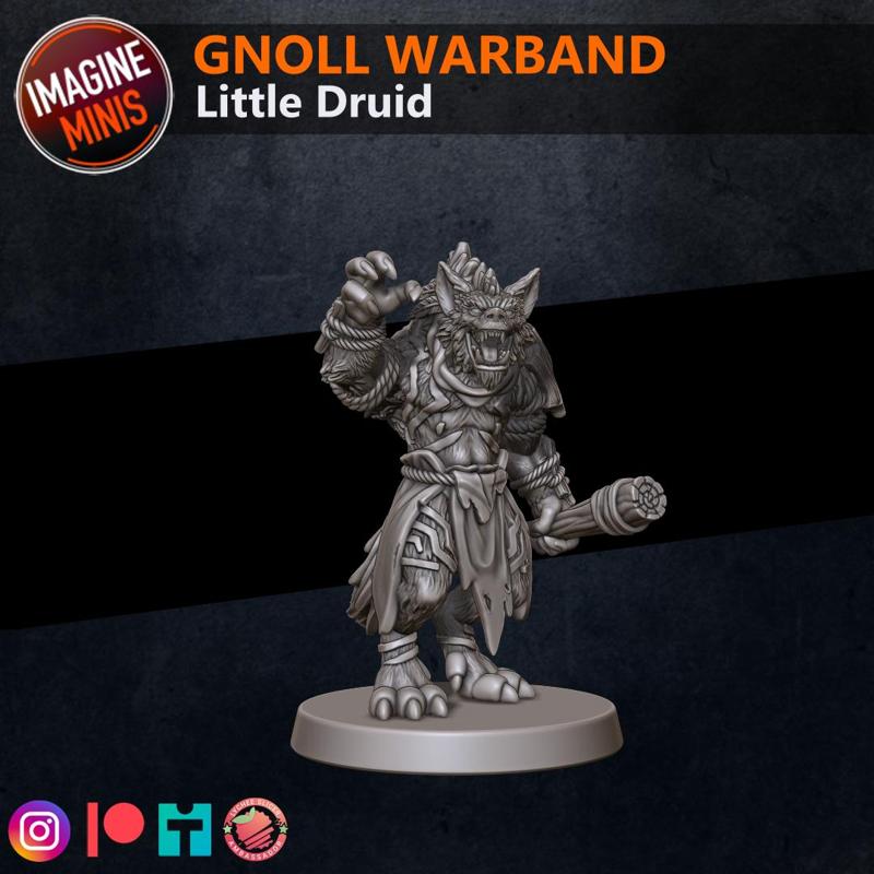 Gnoll Warband - Little Druid