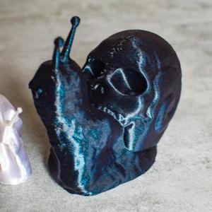 Skull snail