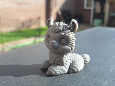 alpaca