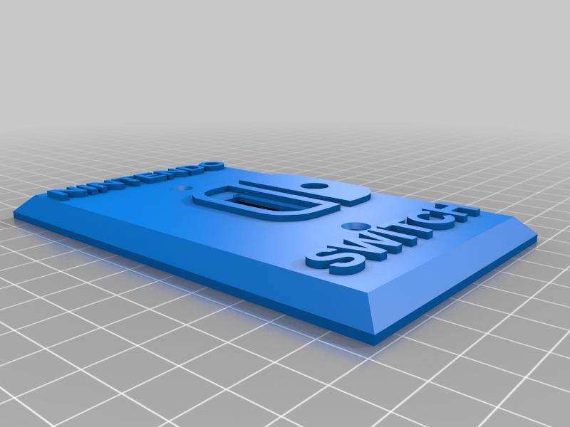 Nintendo Switch Plate