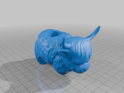 standing highland cow