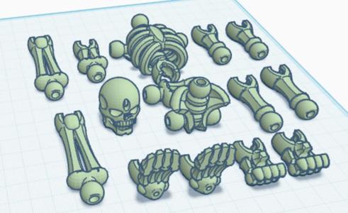 Flexi Skeleton Key Chain