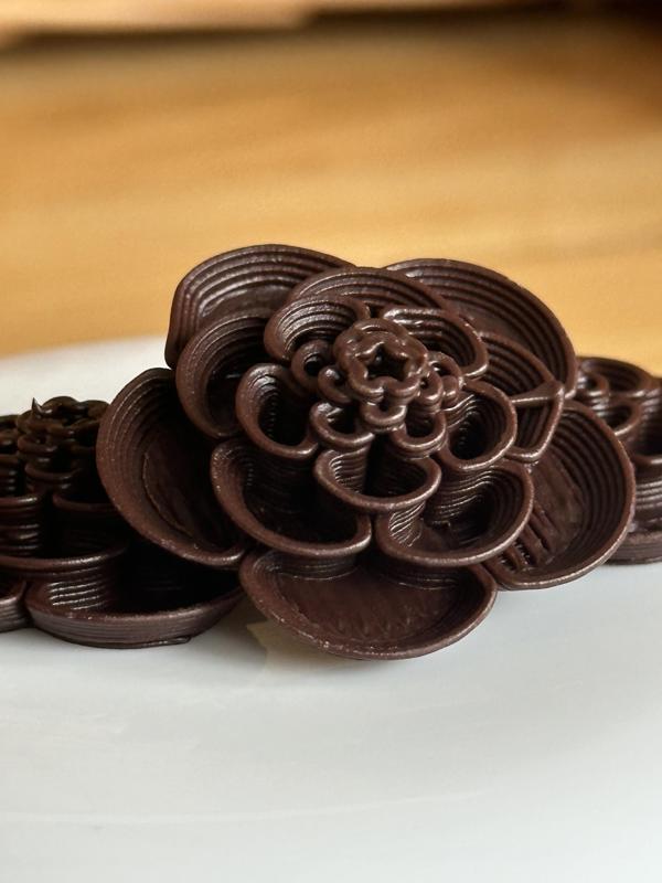 Chocolate Dahlia - Small