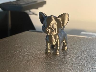 Miniature Small Dog: Fast Print, Cute and Tiny