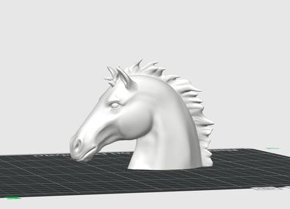 Head Horse Model