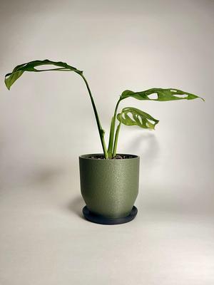 M6 Planter