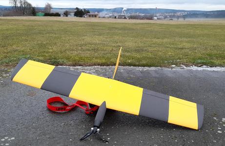 Small flying wing Pin1100