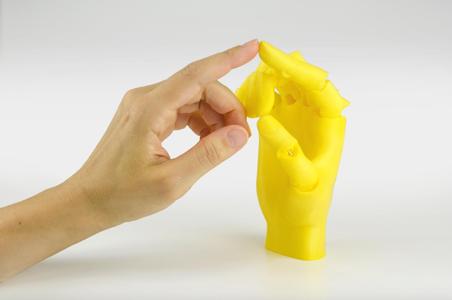 Jointed Hand
