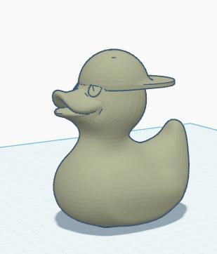 duck with backwards hat