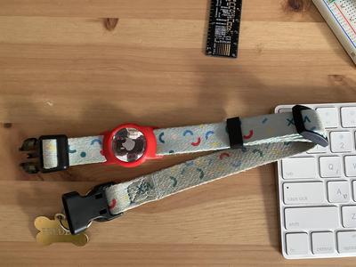 AirTag Holder for Collar