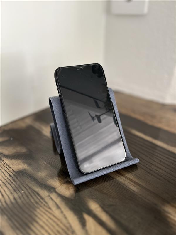 Holder for Phone and earbuds