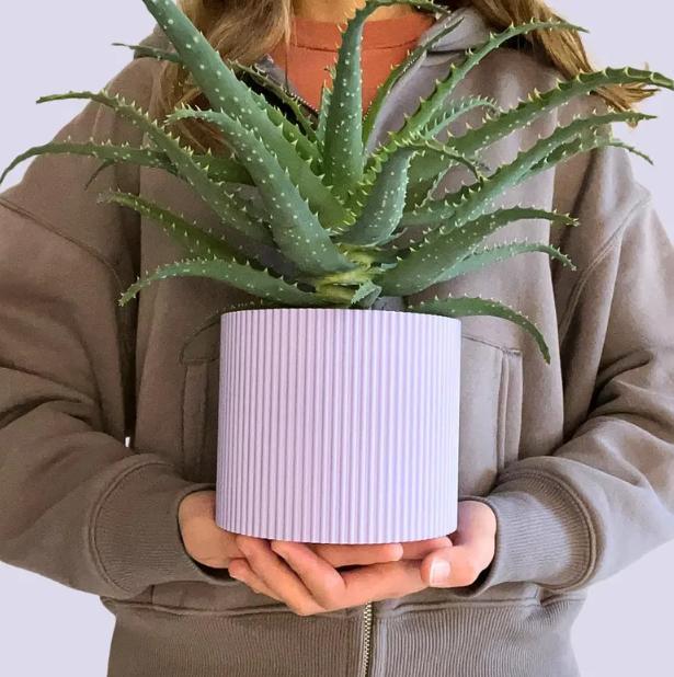 Großer Blumentopf - Moderner Blumentopf - Home Decor