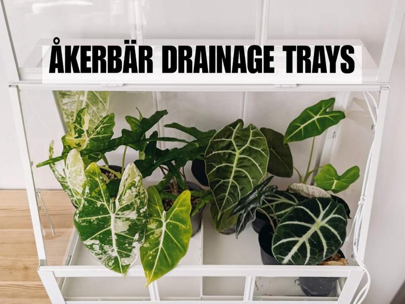 Akerbar drainage trays