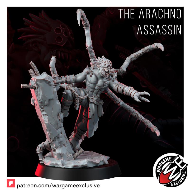 THE ARACHNO ASSASSIN