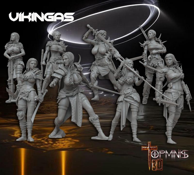 VIKING WARRIORS tabletop rpg