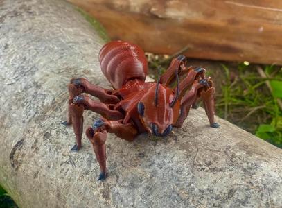 Flexi Ant in association with ARTMAN