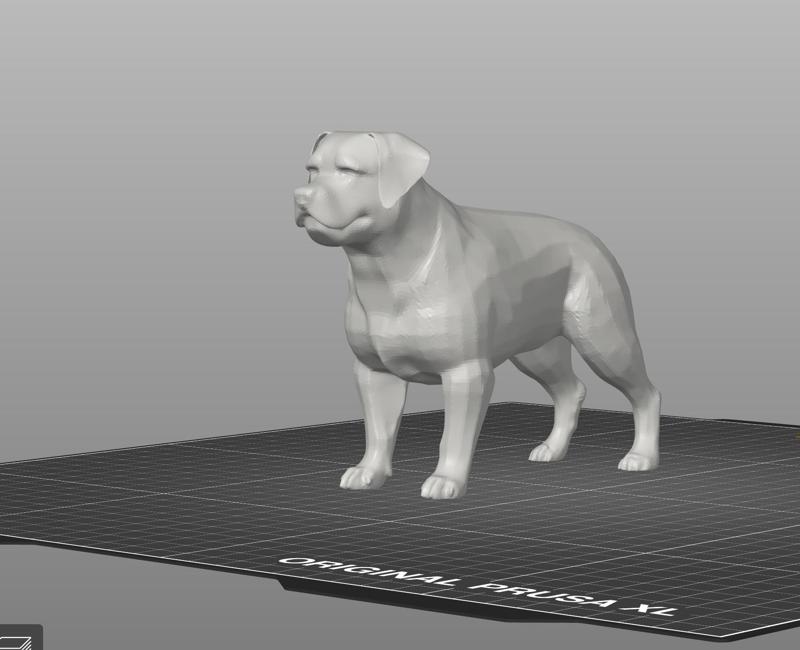 Rottweiler Dog Model