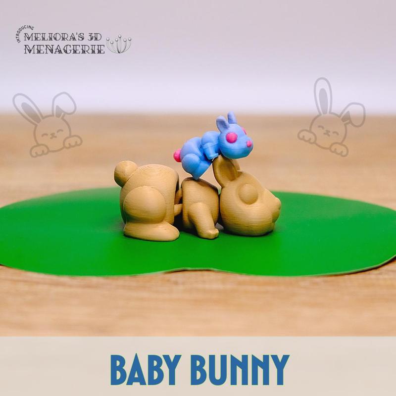 M3D - Baby Bunny