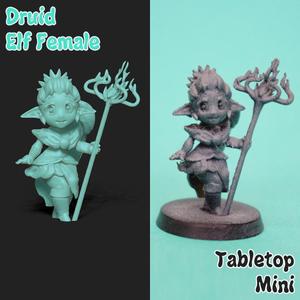 Female Druid Elf Mini
