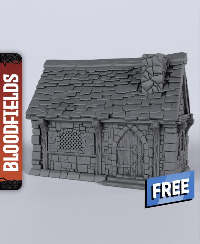 Small Building B - With Free Dragon - 5e DnD Inspired for RPG and Wargamers