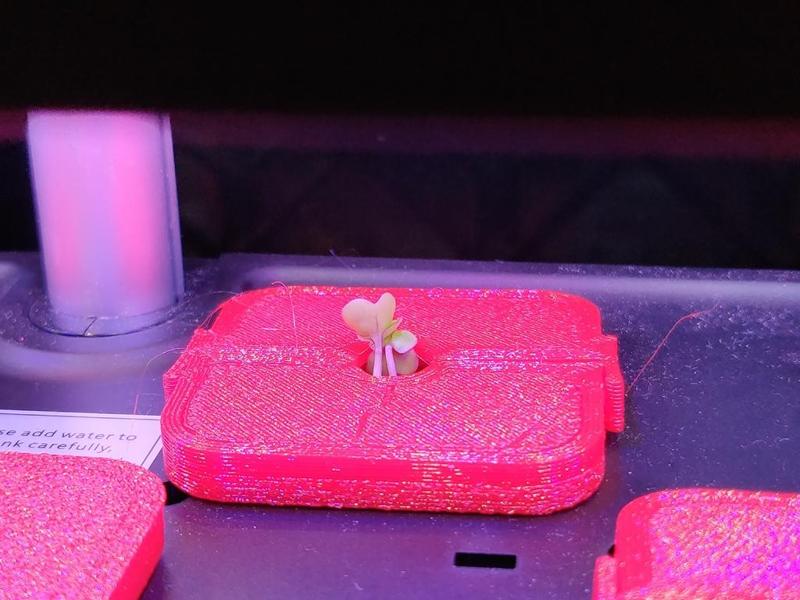 iDOO Growth Basket growth tray