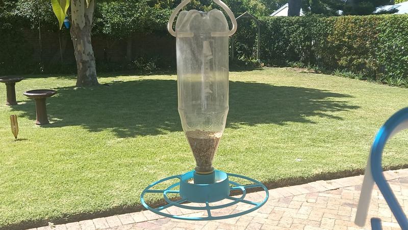 Wild Bird Feeder