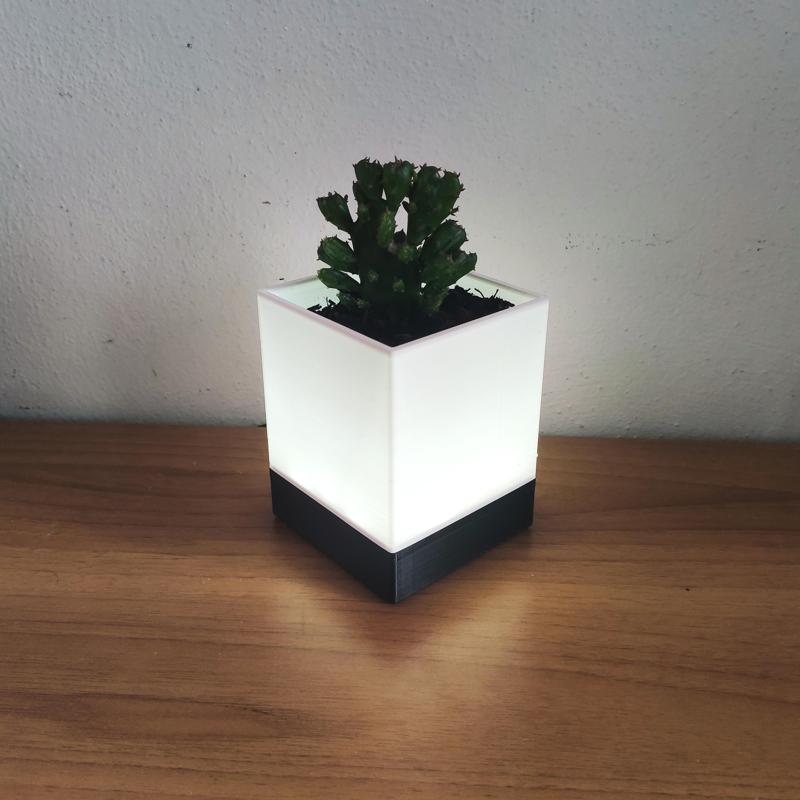 LED Lamp Succulent planter