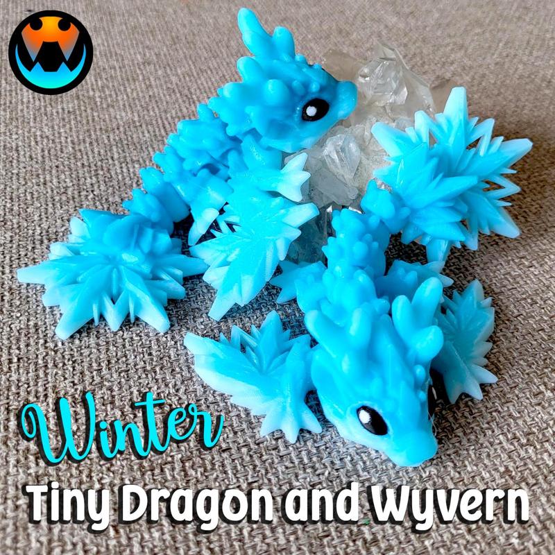 Tiny Winter Wyvern and Dragon