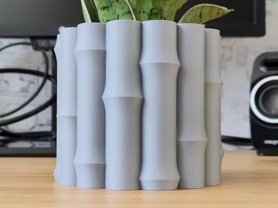 New Bamboo Plant pot and Planter - Vase mode