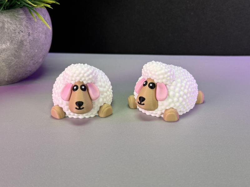 Cute Sheep