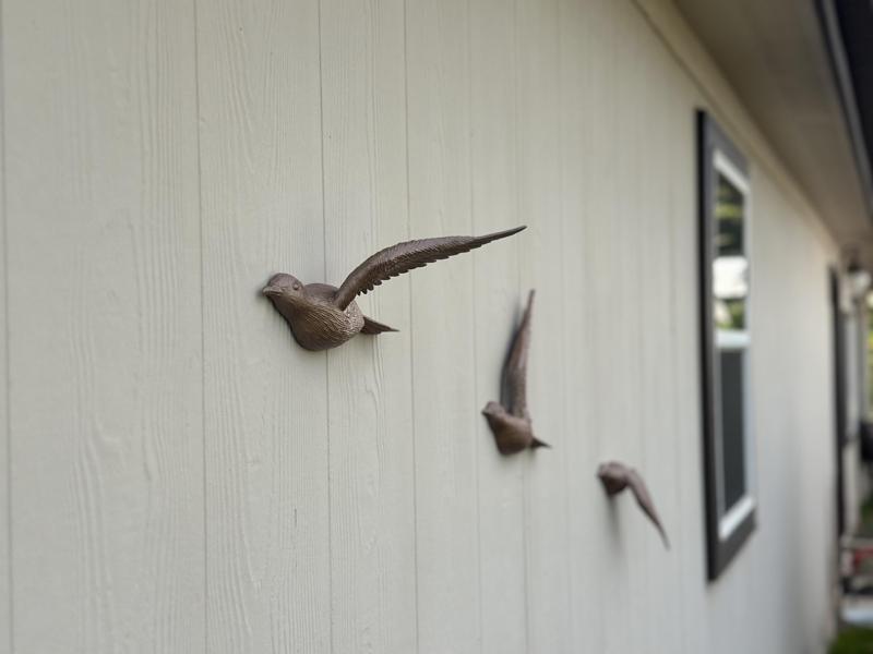 Birds in Flight: Three beautiful wall-mounted bird sculptures