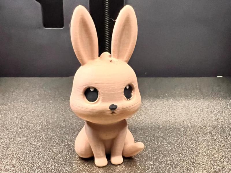 Easter Bunny - Easter Rabbit