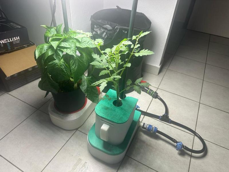 Pot Auto-Alimenté par le Bas – Système Racinaire avec Réserve d’Eau à Niveau Constant - Hydroponie