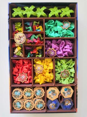 Board Game Insert: Through the Desert